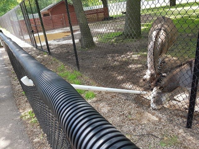 Rapids Municipal Zoo
